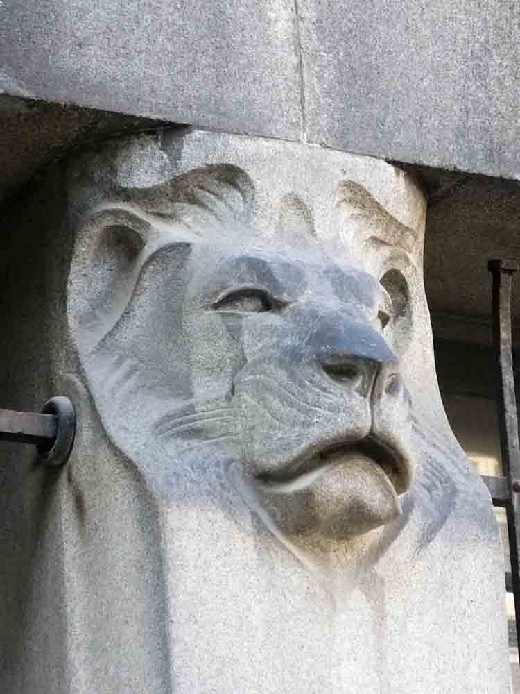 Another Lion