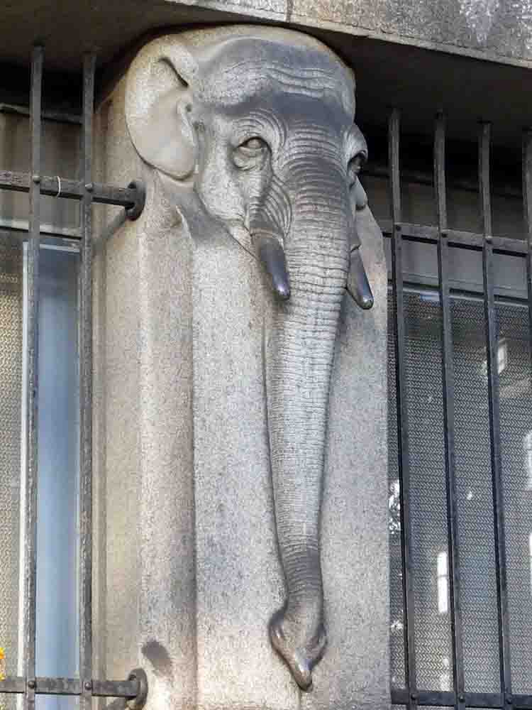 Elephant