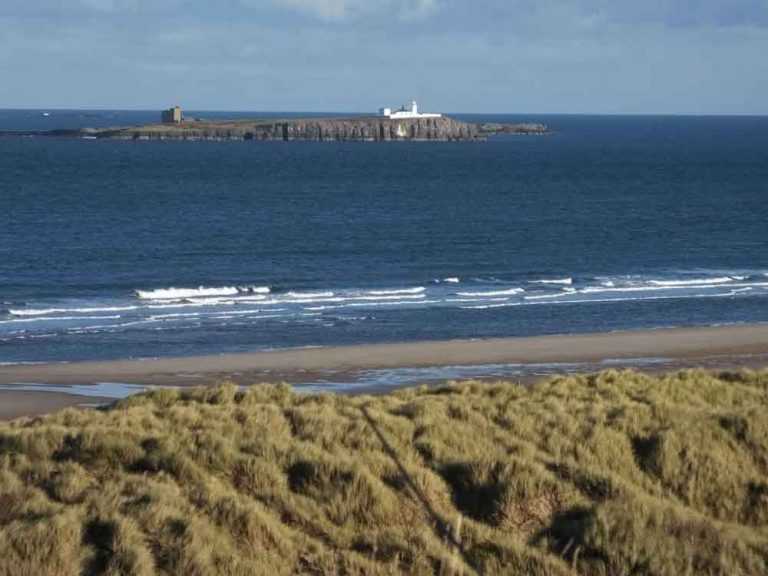 Farne Islands 1