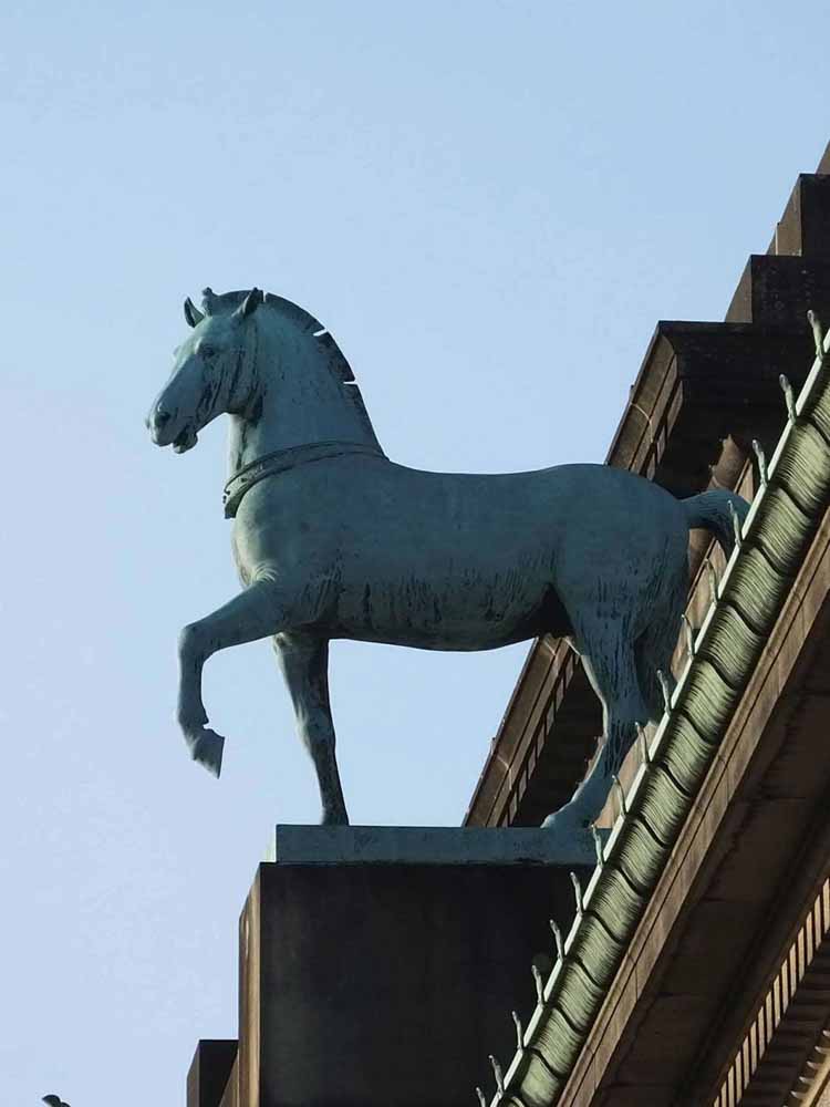 Horse