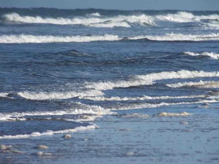 North Sea 3