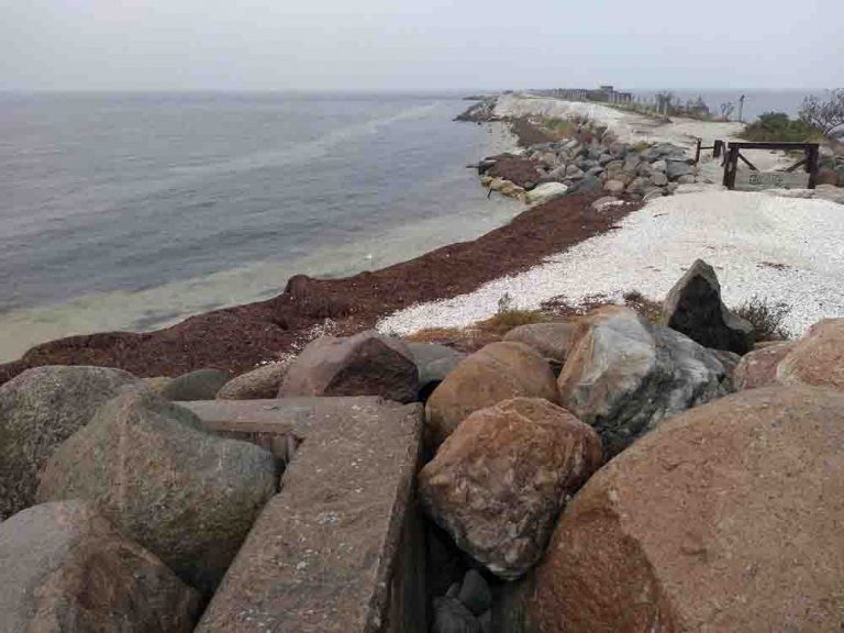 Oresund Blocks