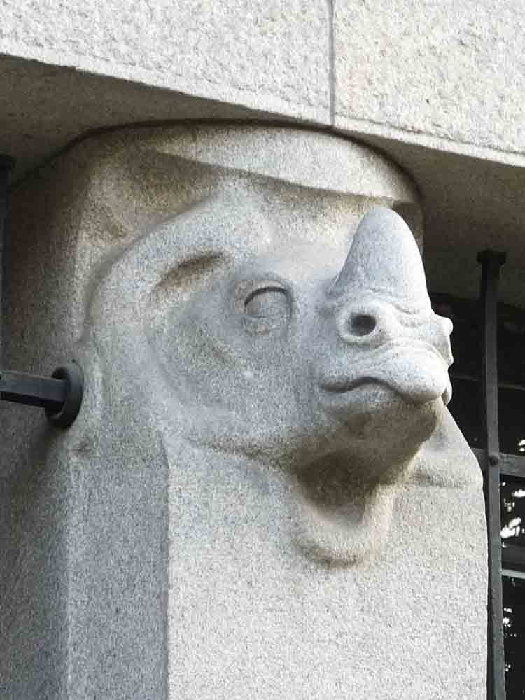 Rhinoceros