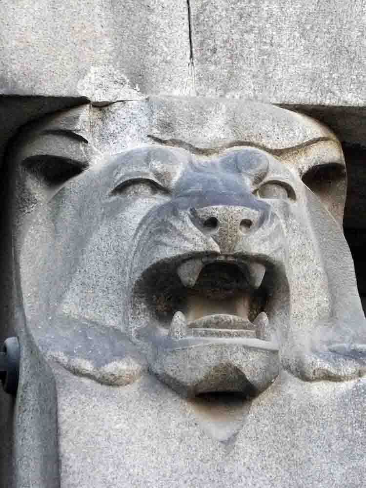 Snarling Lion